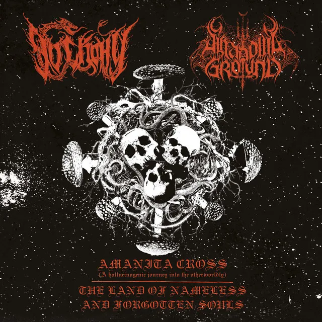 До Скону & Shadows Ground – Amanita Cross/The Land Of Nameless And Forgotten Souls [split] (2023)