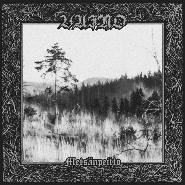 Vaino – Metsänpeitto (2022)